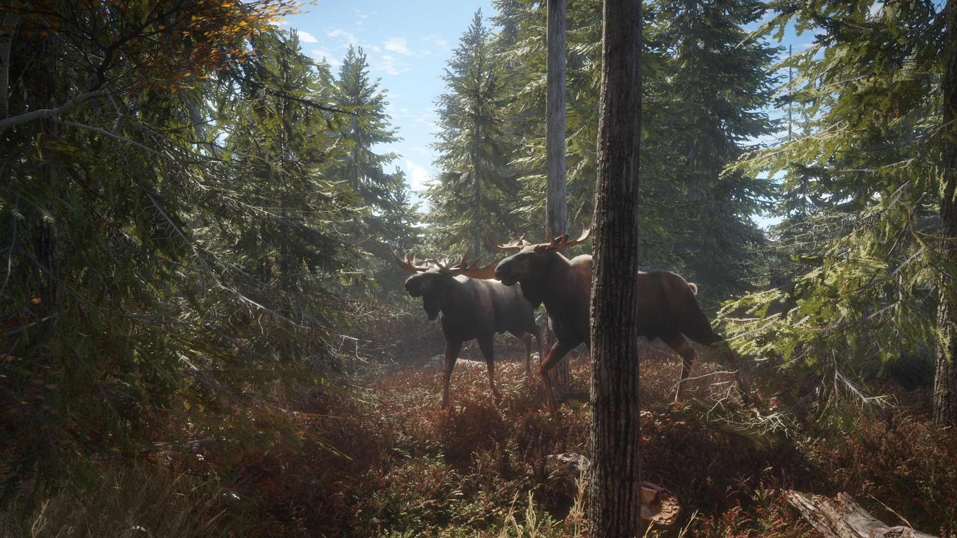 Скриншот: theHunter: Call of the Wild™