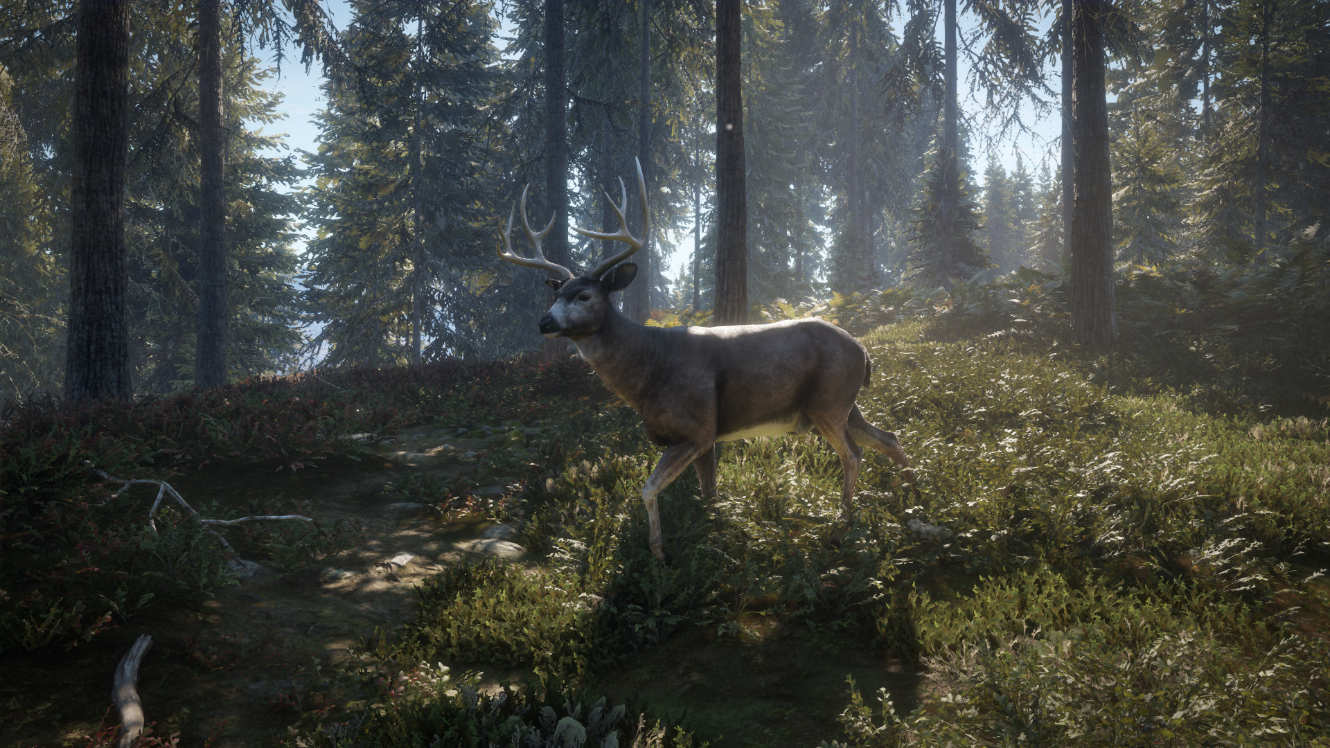 Скриншот 24: theHunter: Call of the Wild™