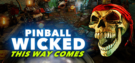 Обложка: Pinball Wicked