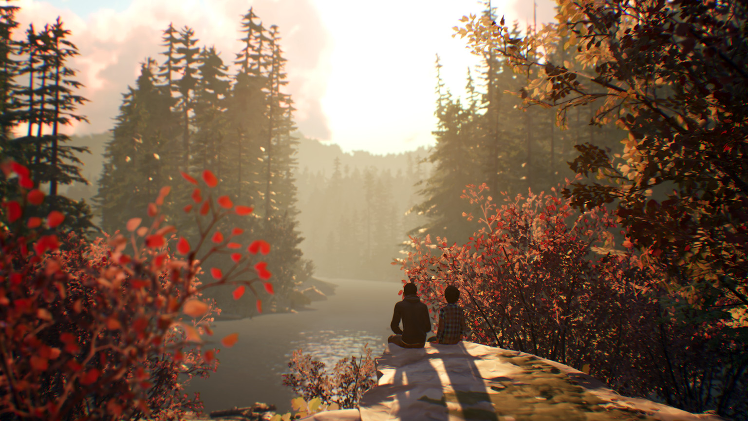 Скриншот 15: Life is Strange 2