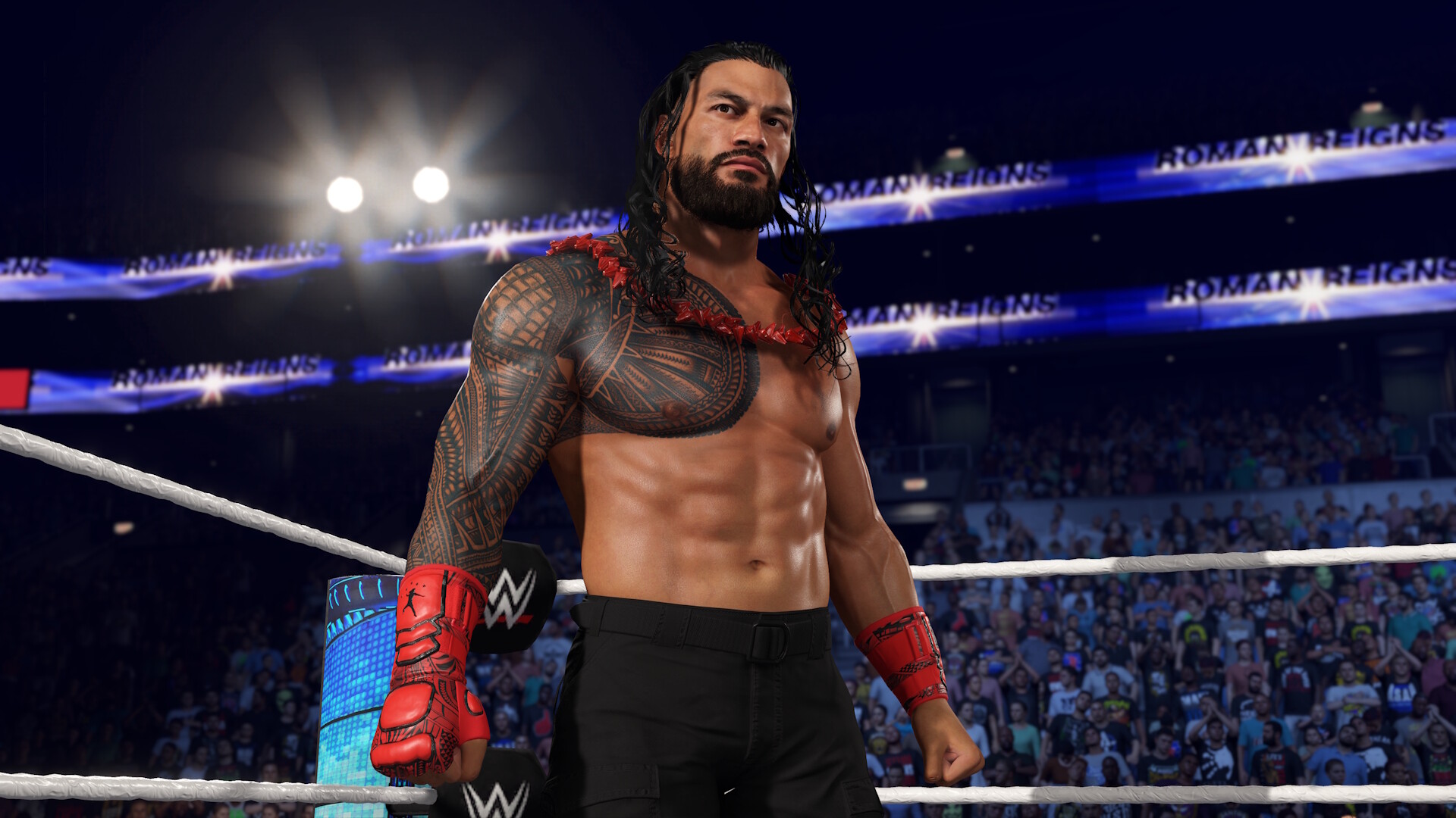 Скриншот: WWE 2K25