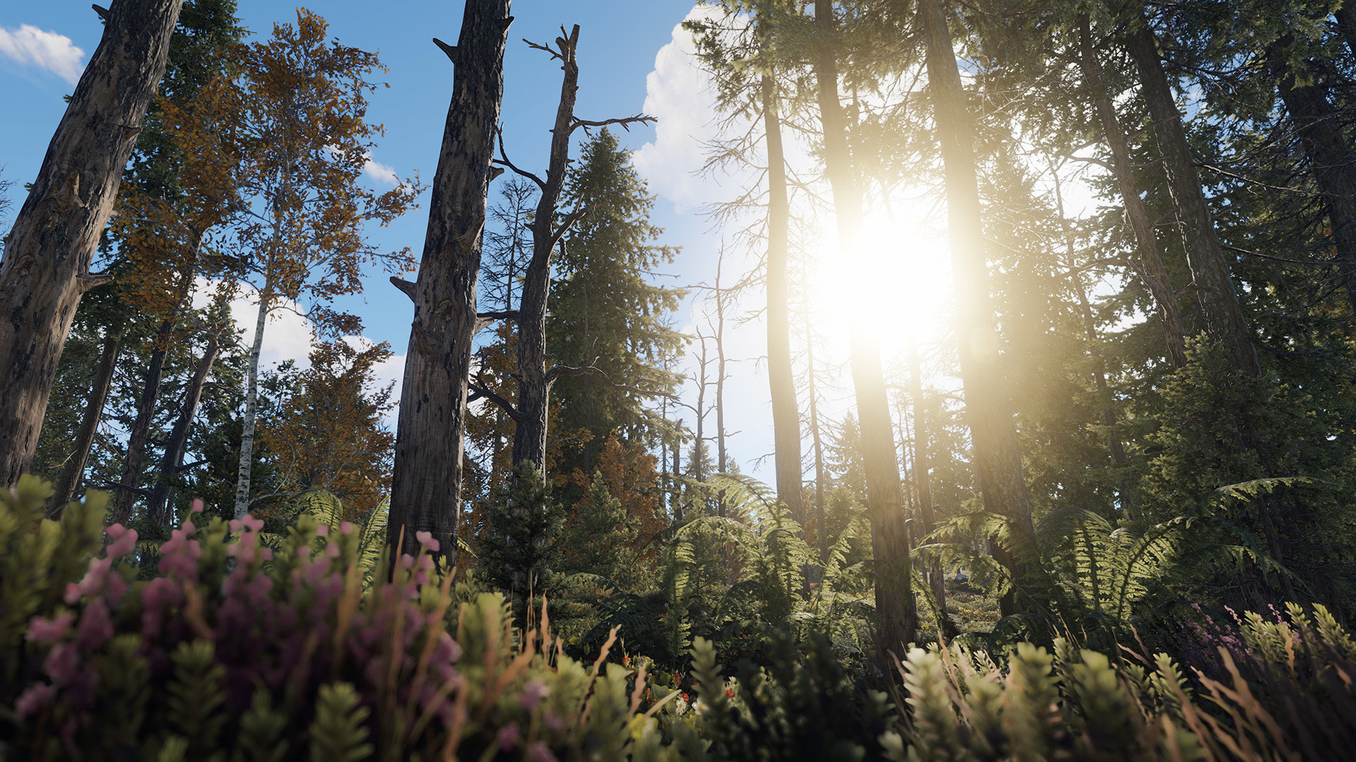 Скриншот 31: Rust