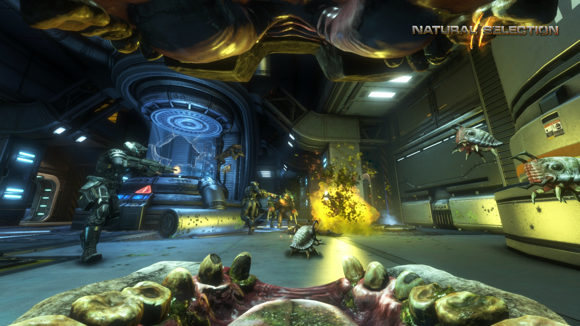 Скриншот 7: Natural Selection 2