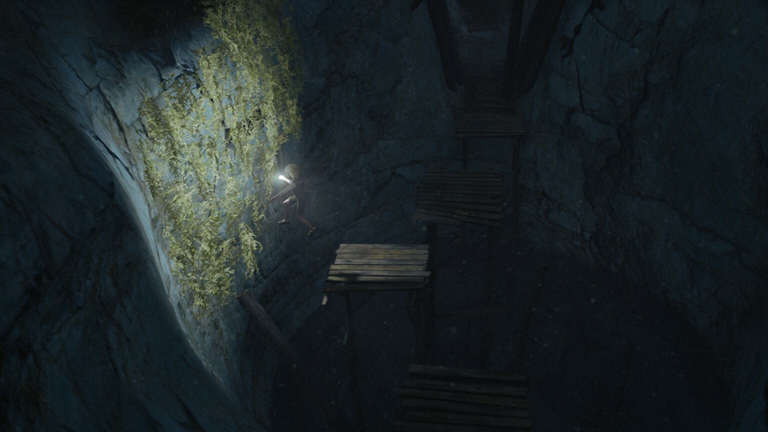 Скриншот 9: Bramble: The Mountain King