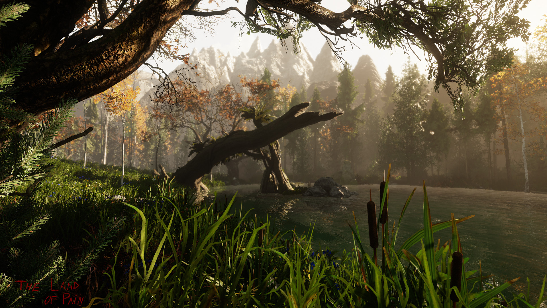 Скриншот: The Land of Pain