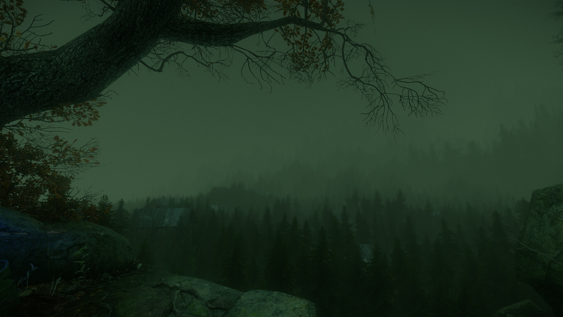 Скриншот: The Cursed Forest