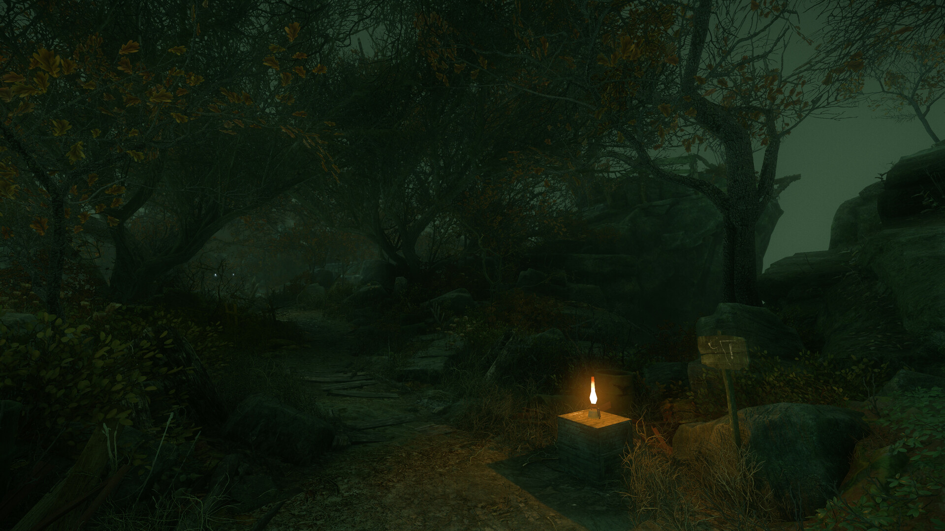 Скриншот: The Cursed Forest