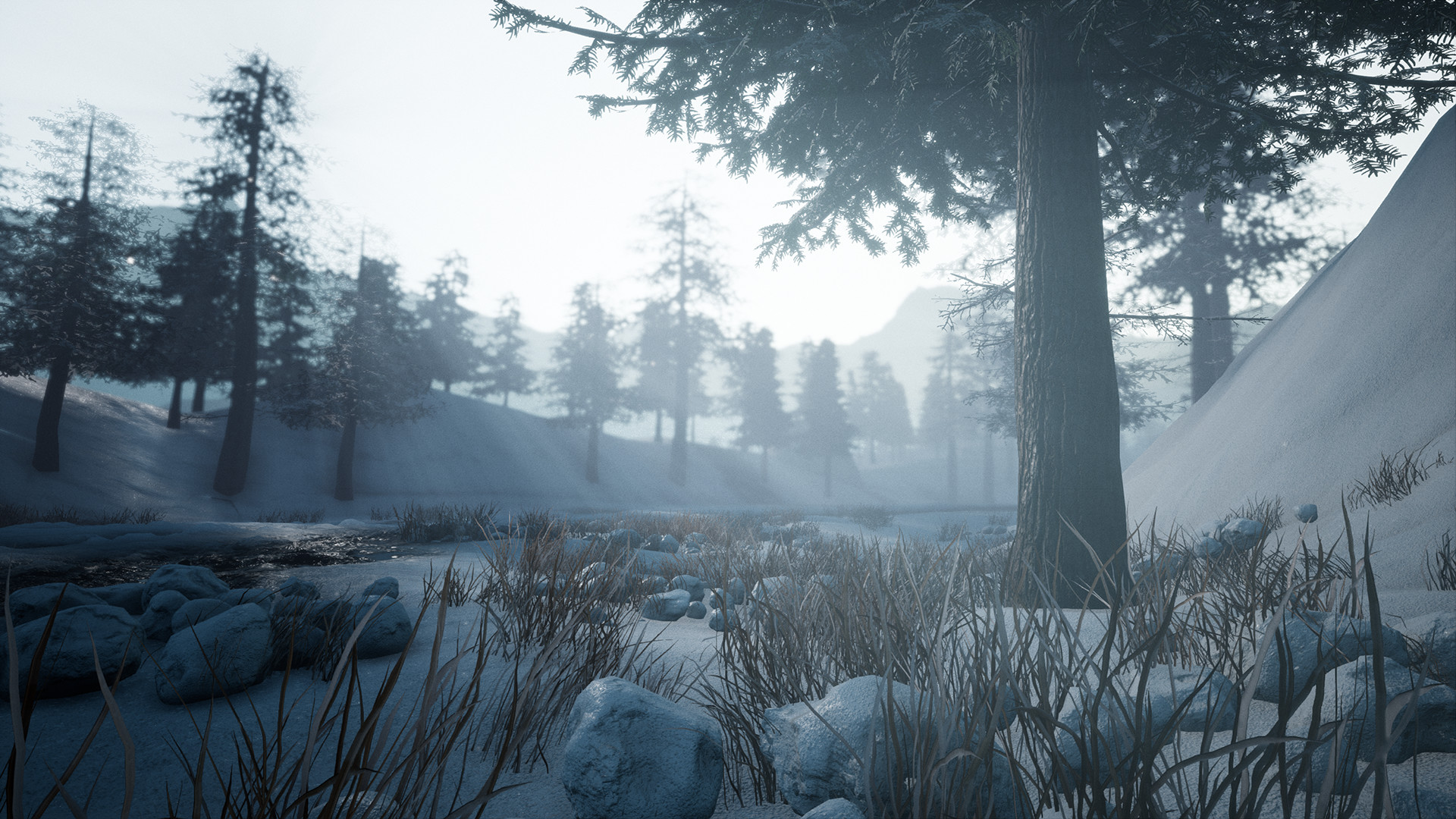 Скриншот: Forgotten Land