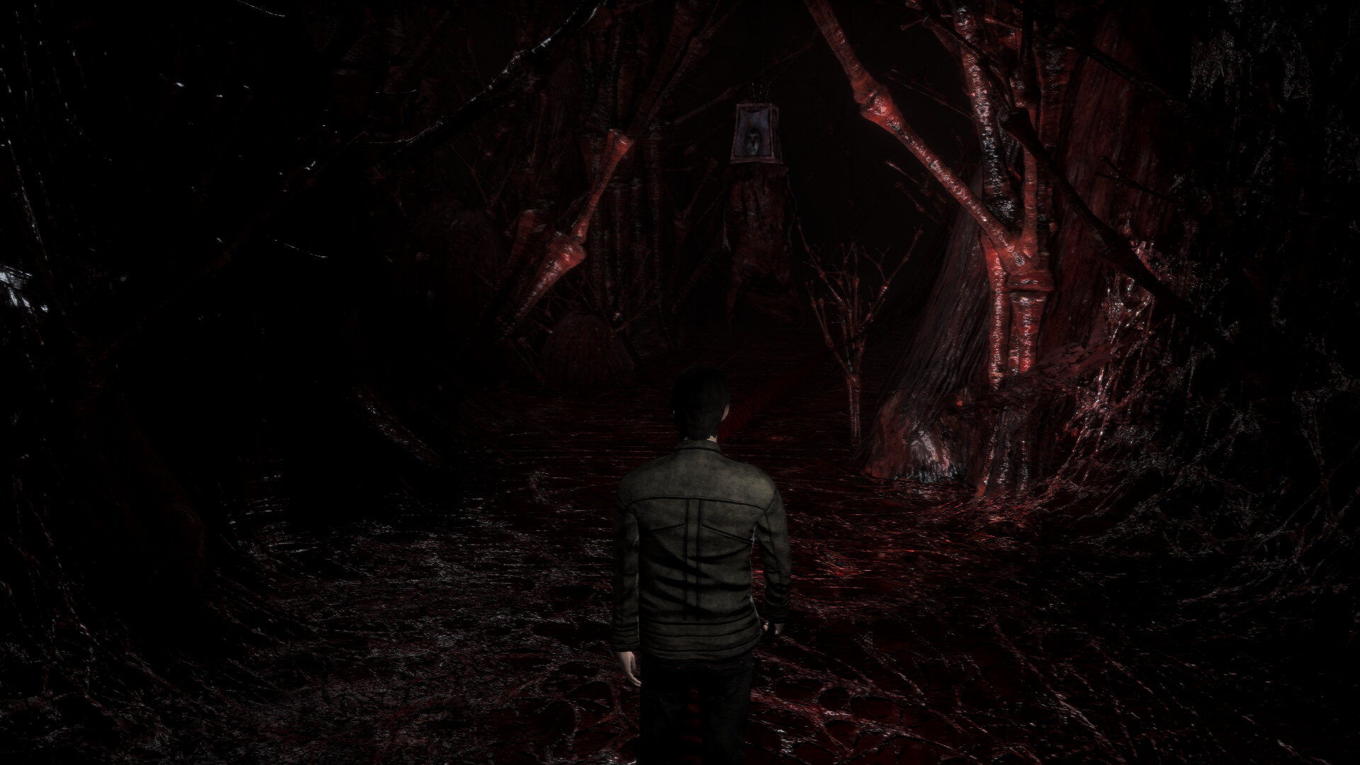 Скриншот: The Frozen Garden