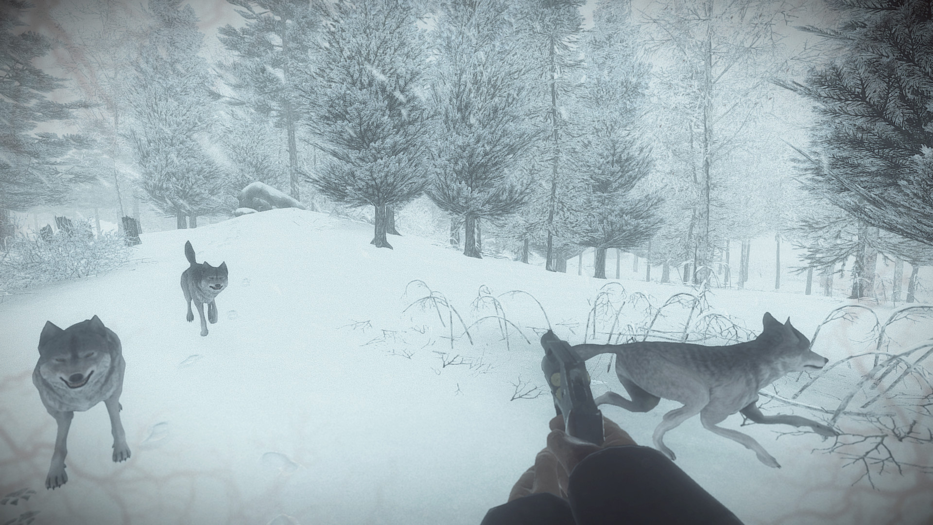 Скриншот 7: Kona