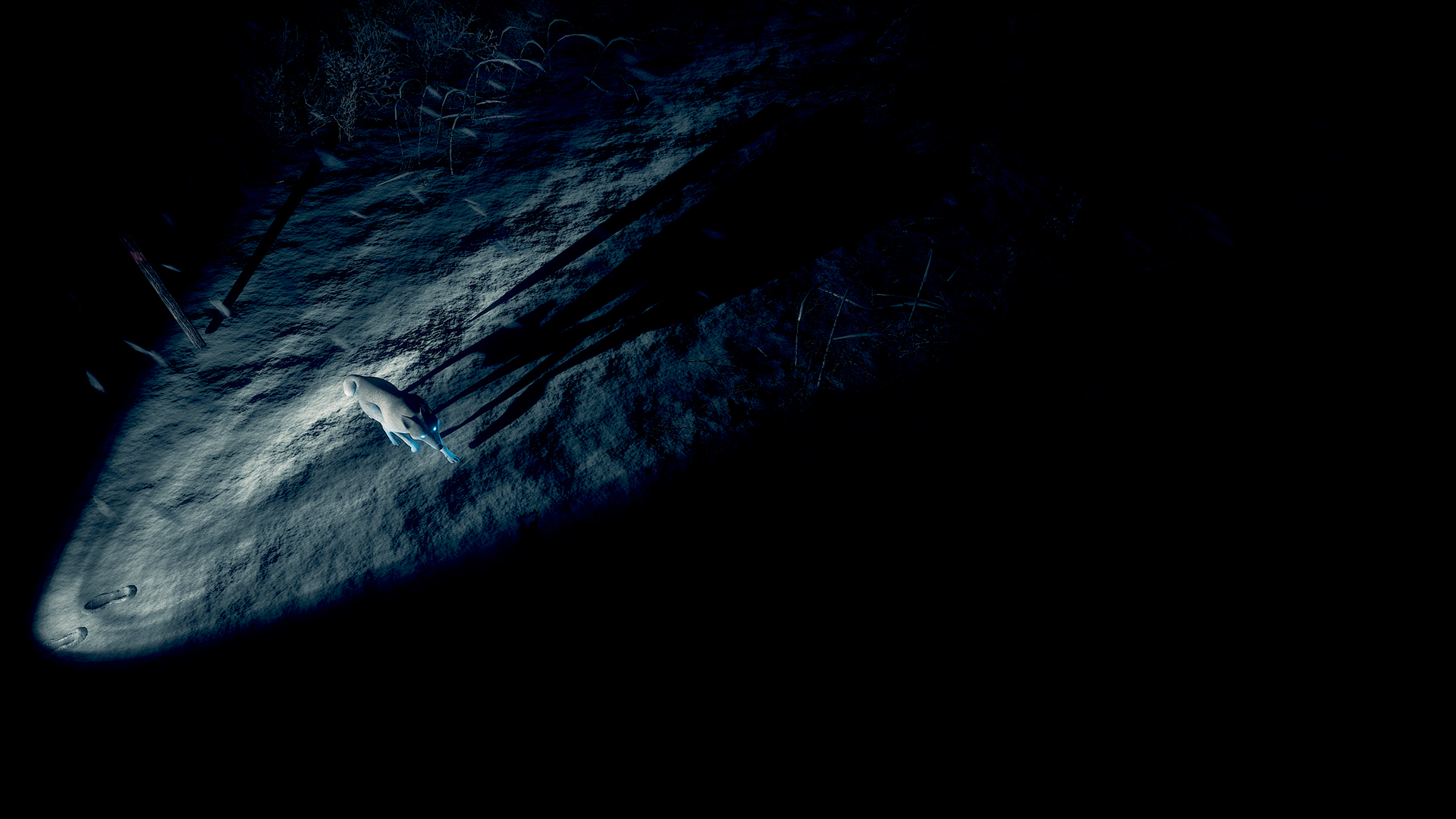 Скриншот 10: Kona