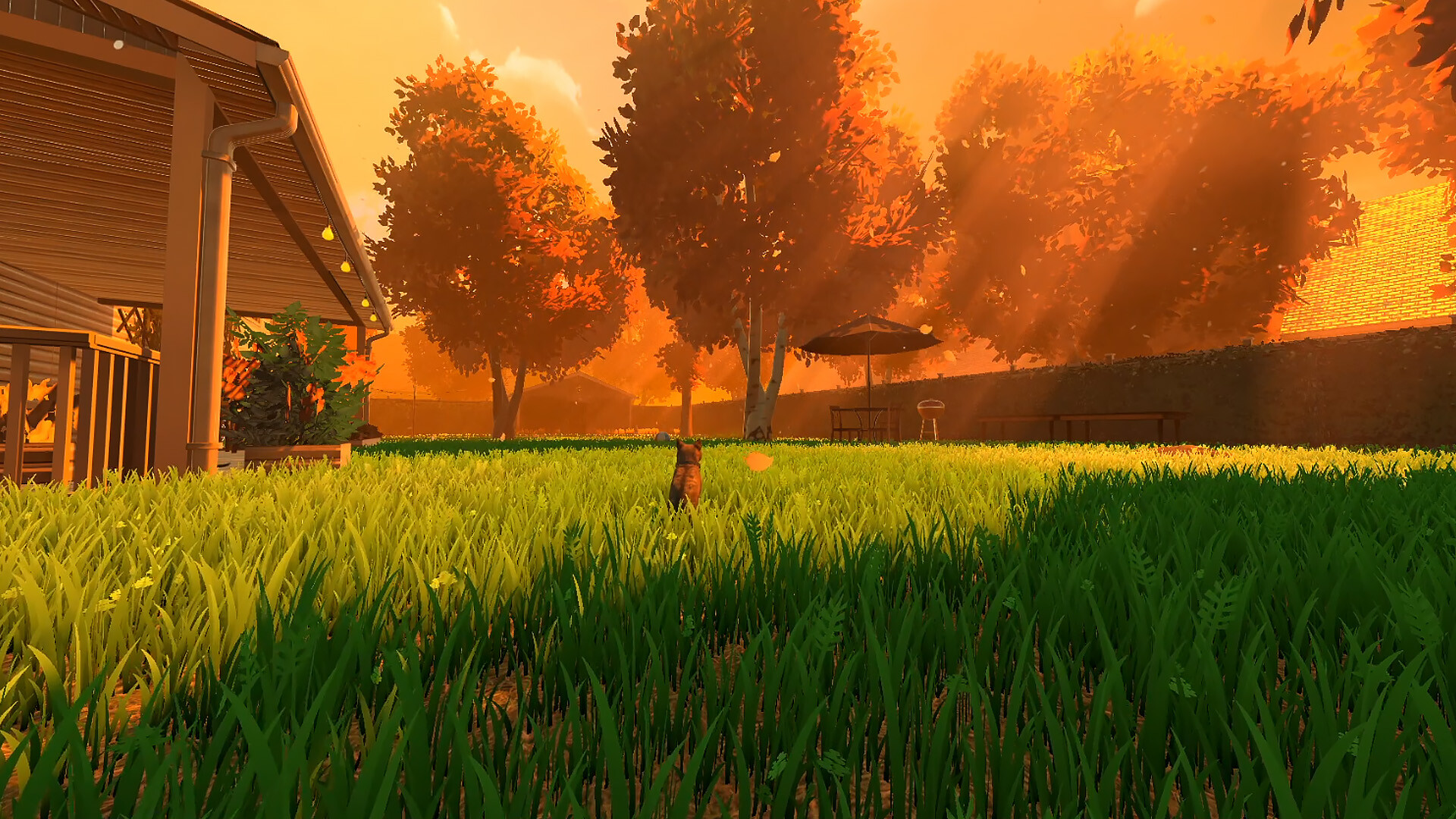 Скриншот: Copycat