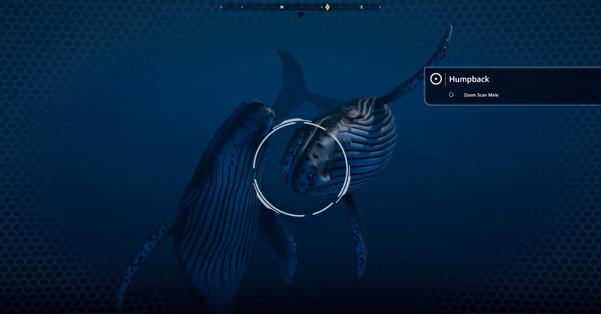 Скриншот 9: Beyond Blue