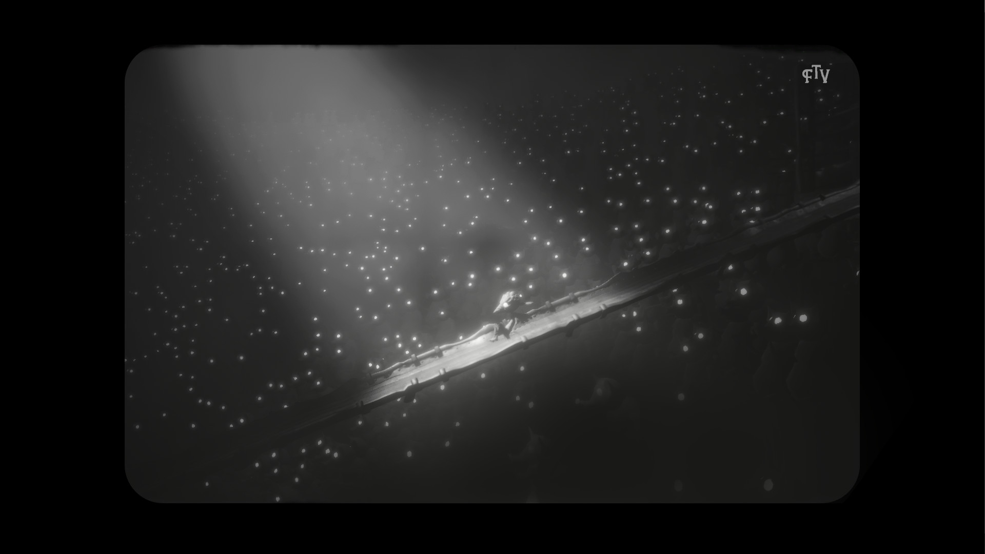 Скриншот: White Shadows