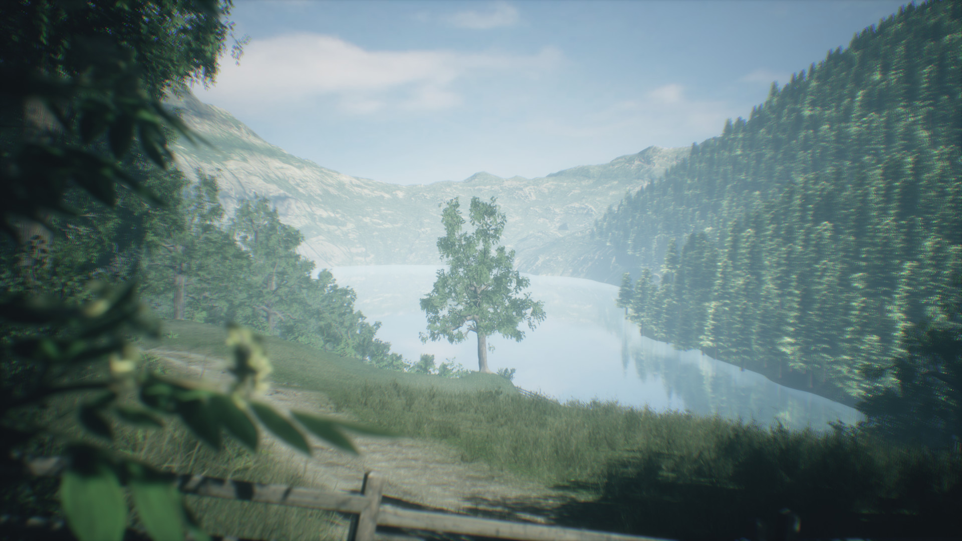 Скриншот: Wakamarina Valley, New Zealand