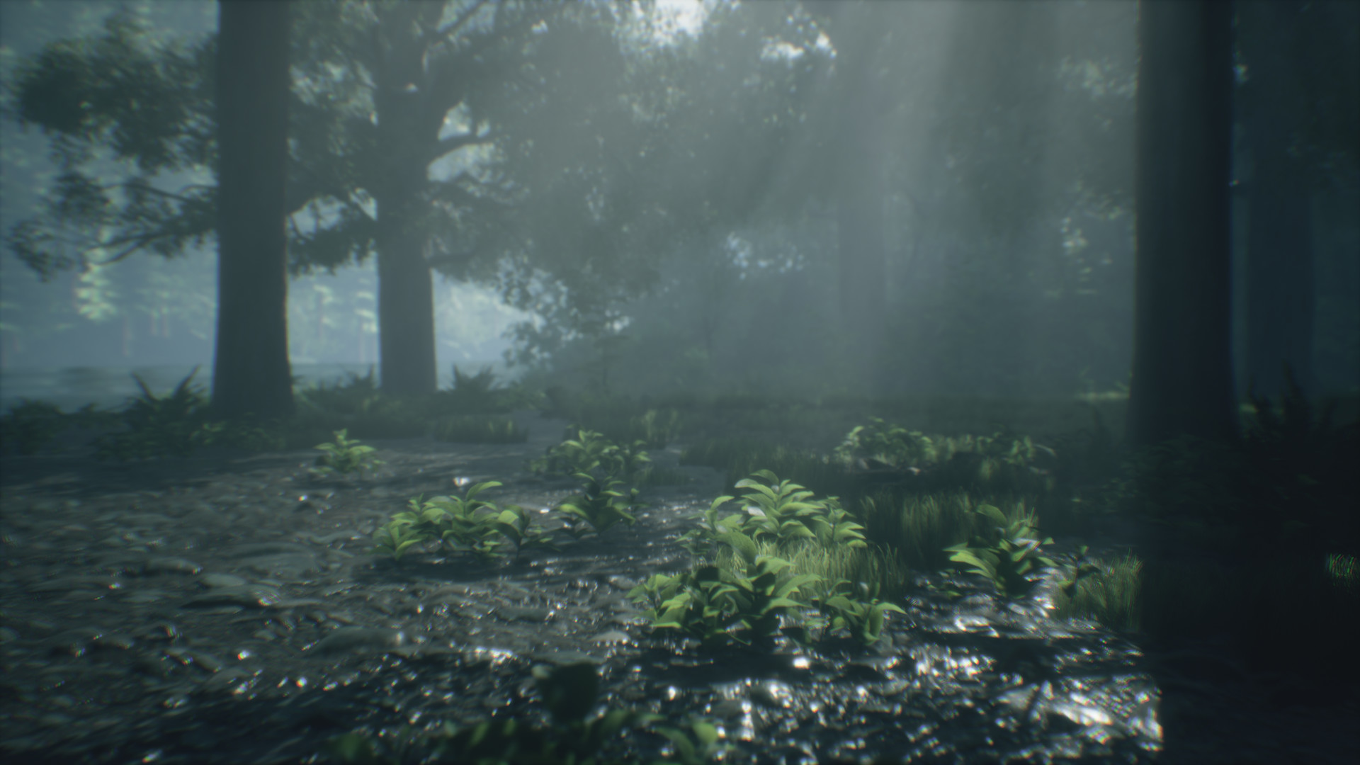 Скриншот: Wakamarina Valley, New Zealand