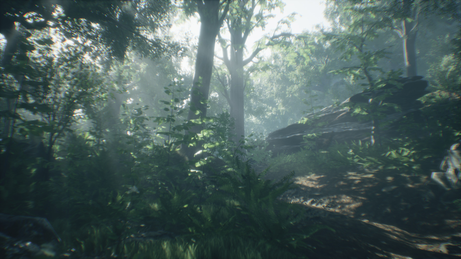 Скриншот: Wakamarina Valley, New Zealand