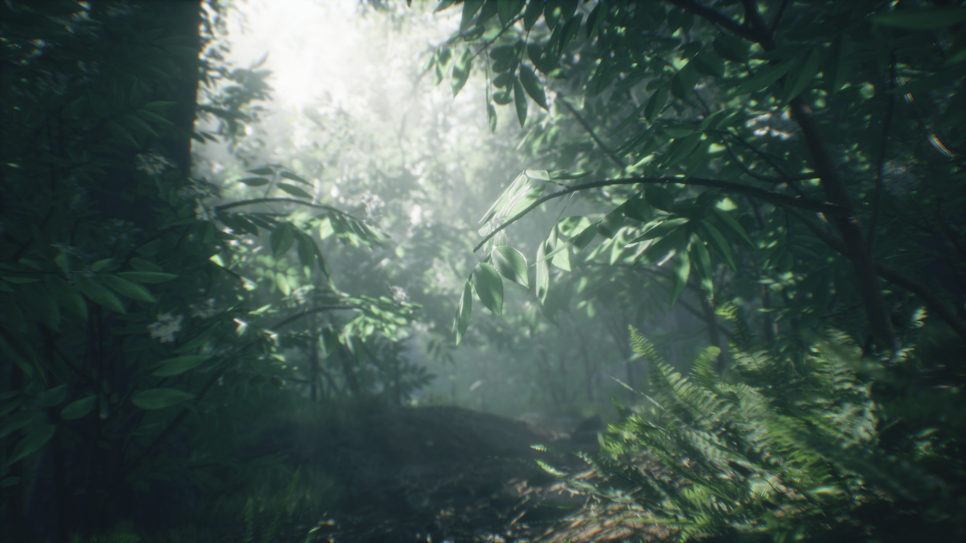 Скриншот 7: Wakamarina Valley, New Zealand