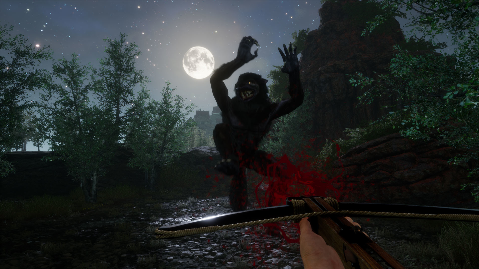 Скриншот: Finding the Soul Orb