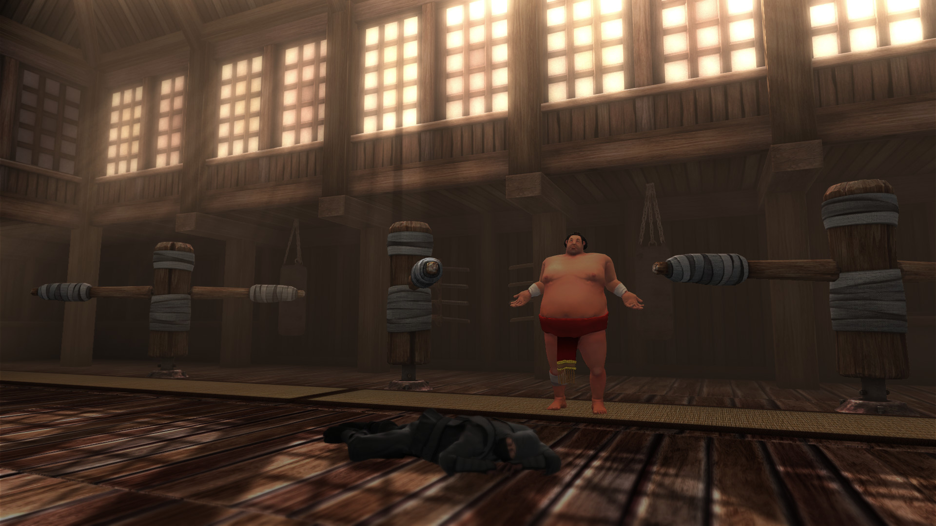 Скриншот: Sumoman