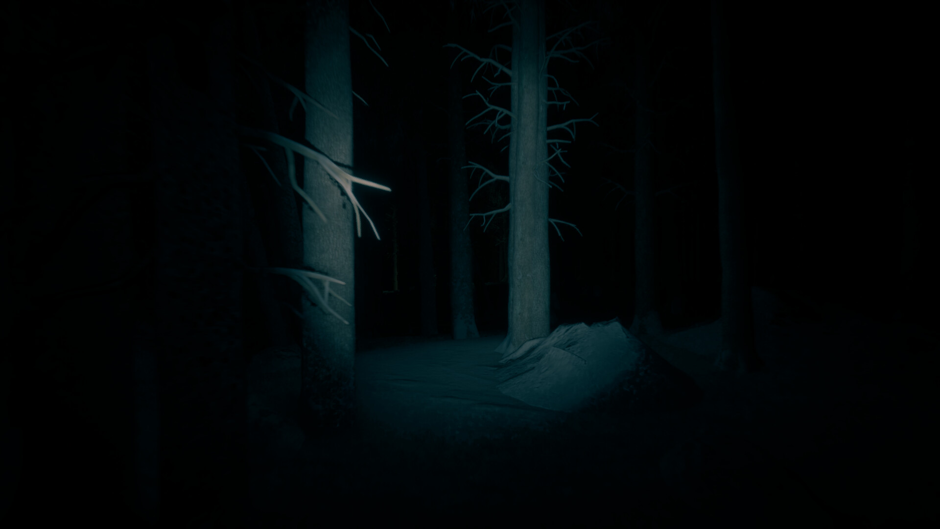 Скриншот: The Last Ski Trip