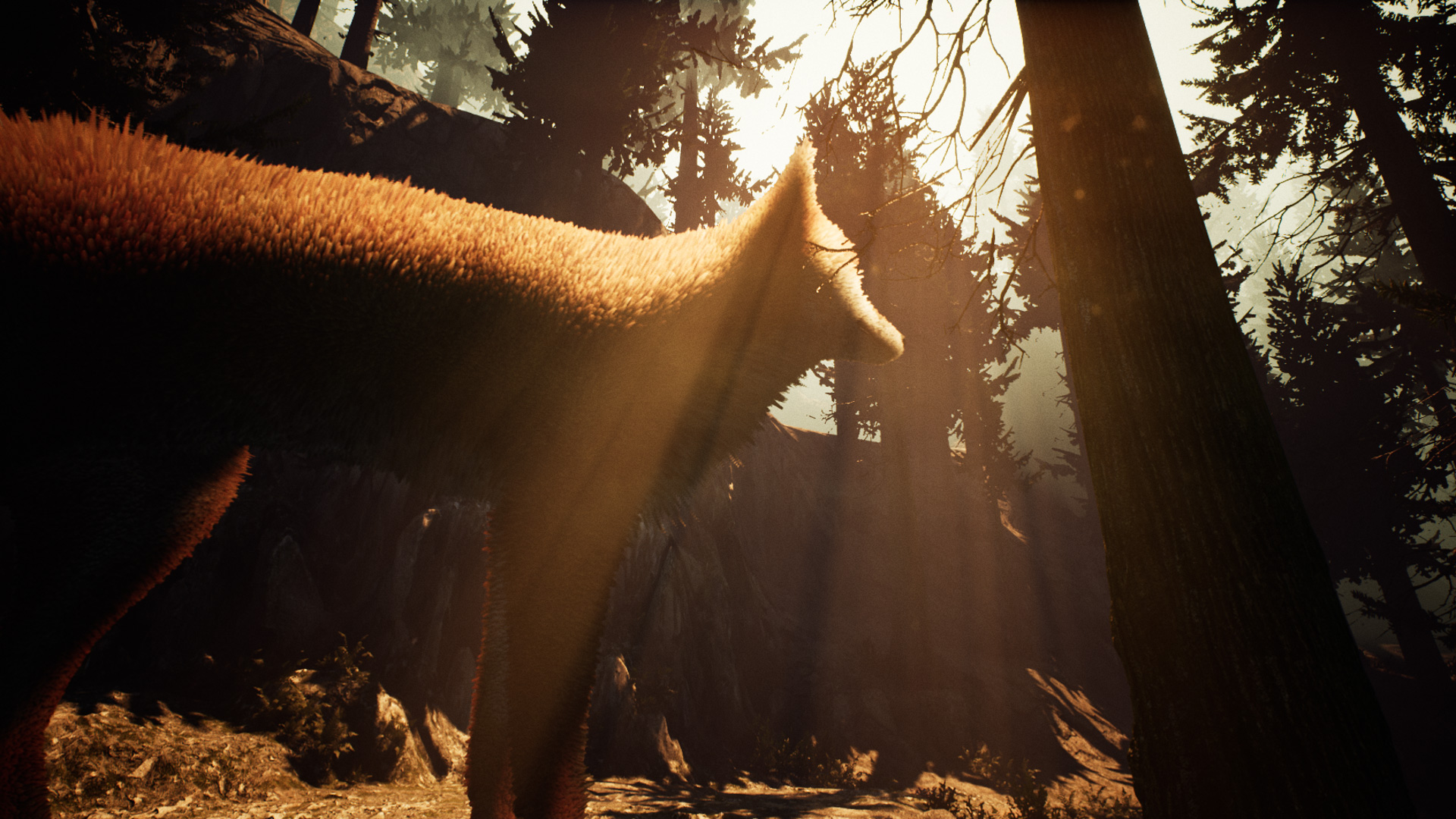 Скриншот 8: Nephise Begins