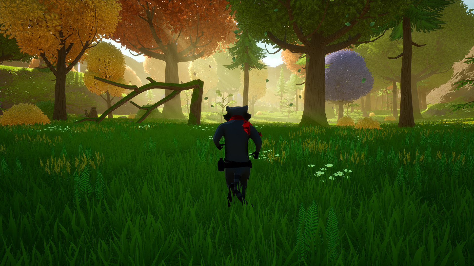 Скриншот: Raccoon Arrival