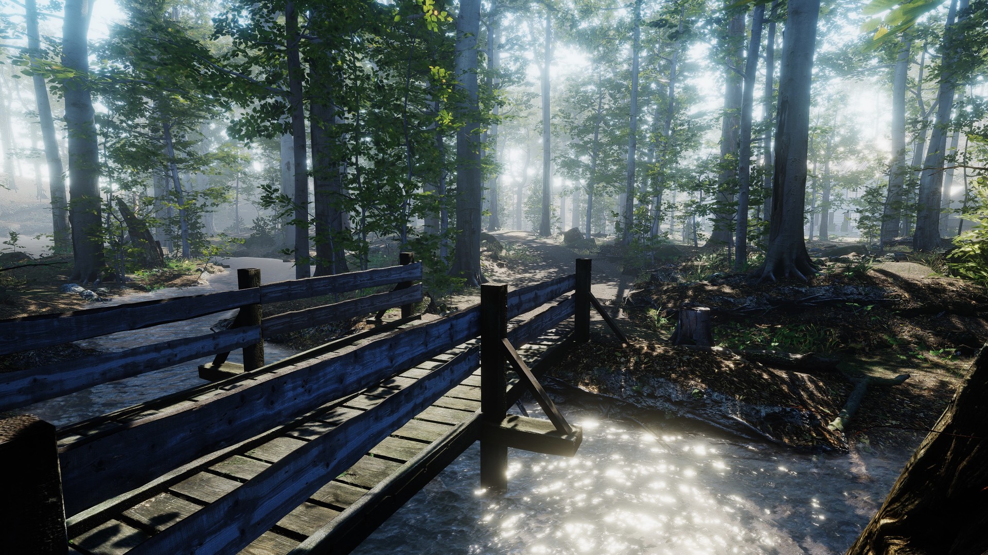 Скриншот: The House in the Forest