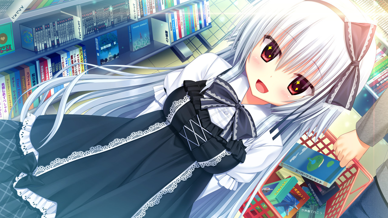 Скриншот: WAGAMAMA HIGH SPEC