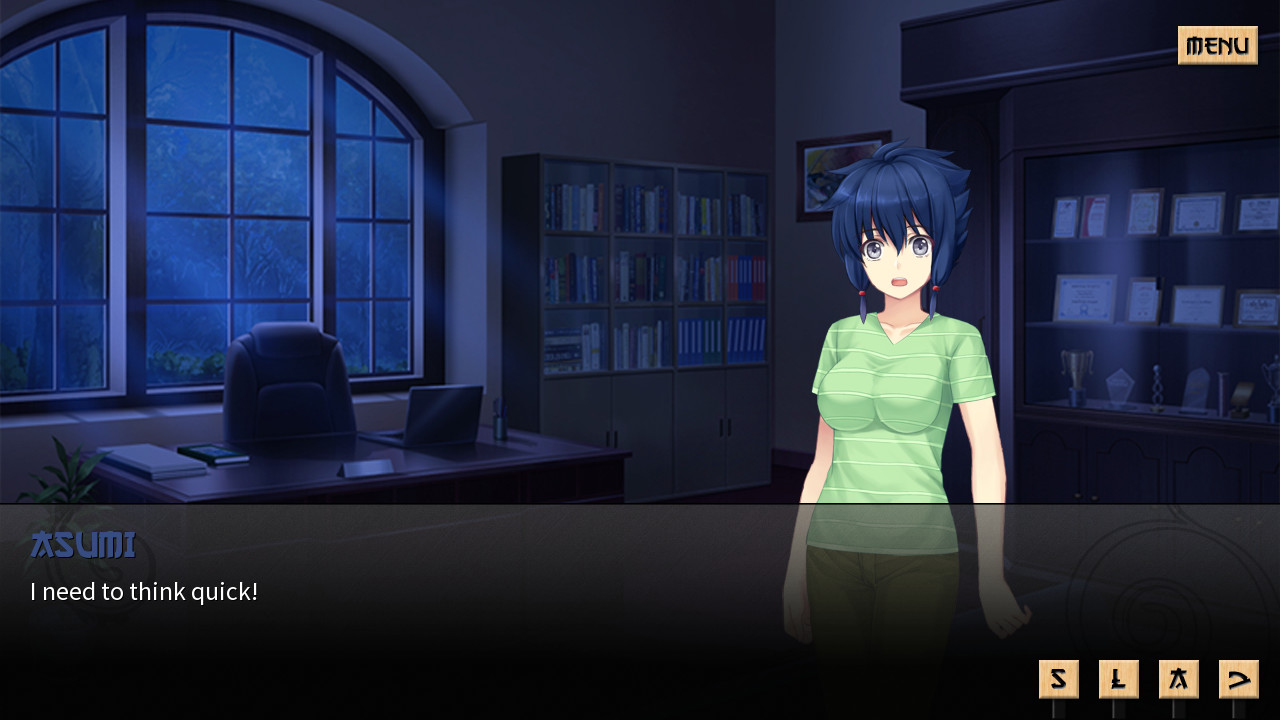 Скриншот: Sword of Asumi