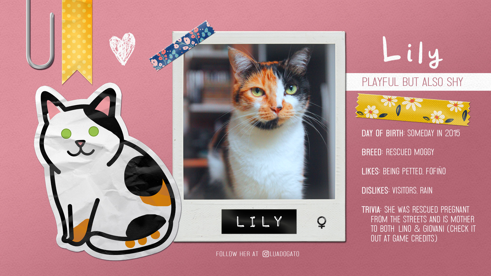 Скриншот: Sudocats