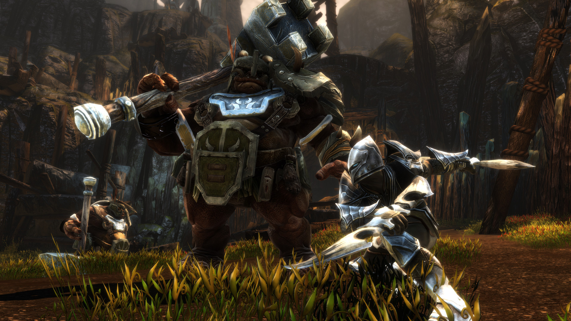 Скриншот: Kingdoms of Amalur: Re-Reckoning