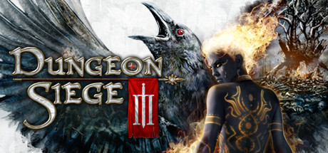 Обложка: Dungeon Siege III
