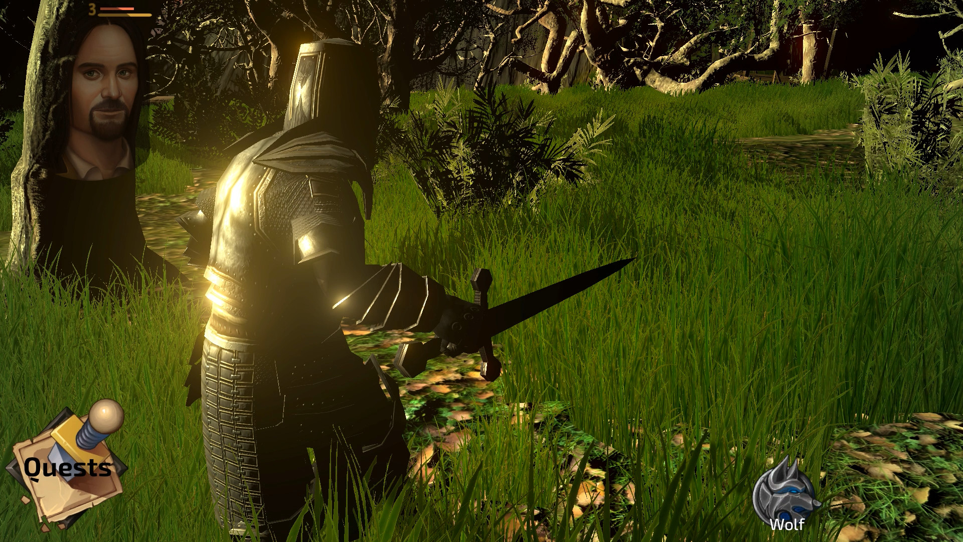 Скриншот: The Monk and the Warrior. The Heart of the King.