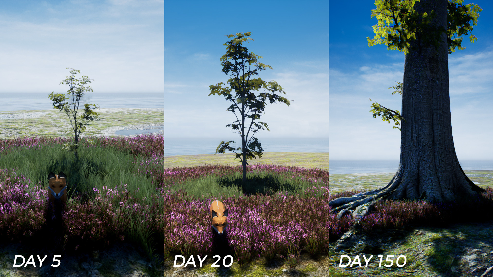 Скриншот: PLAYNE : The Meditation Game