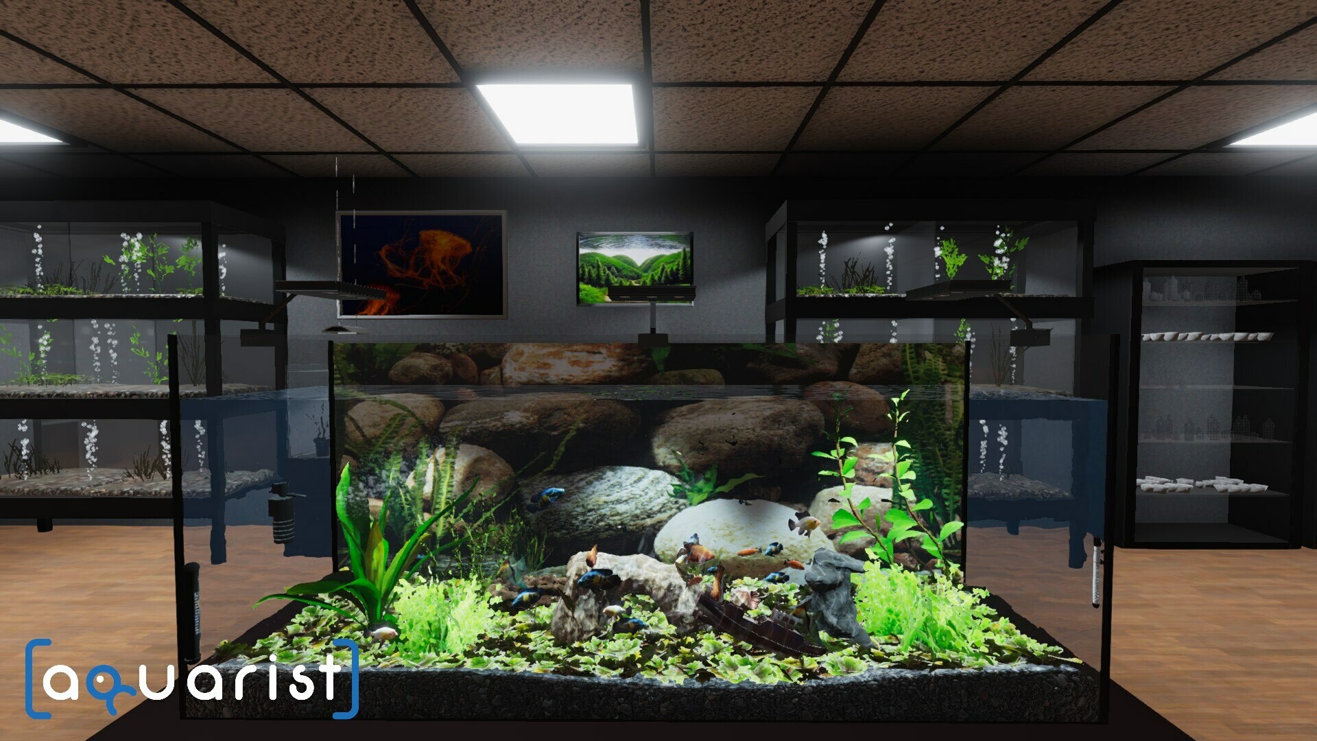 Скриншот: Aquarist