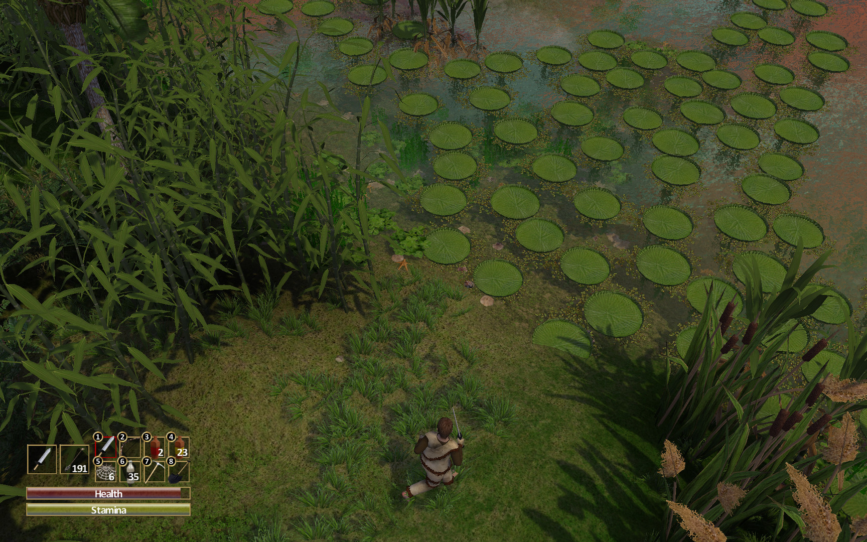 Скриншот 8: Force of Nature