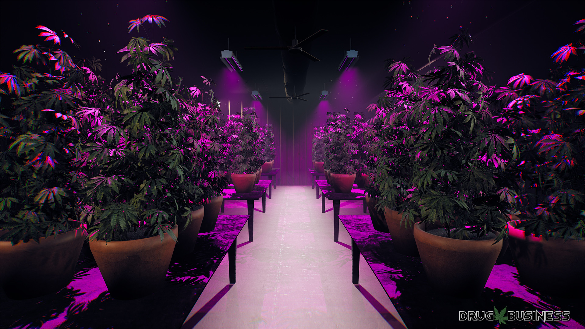 Скриншот: Drug Business