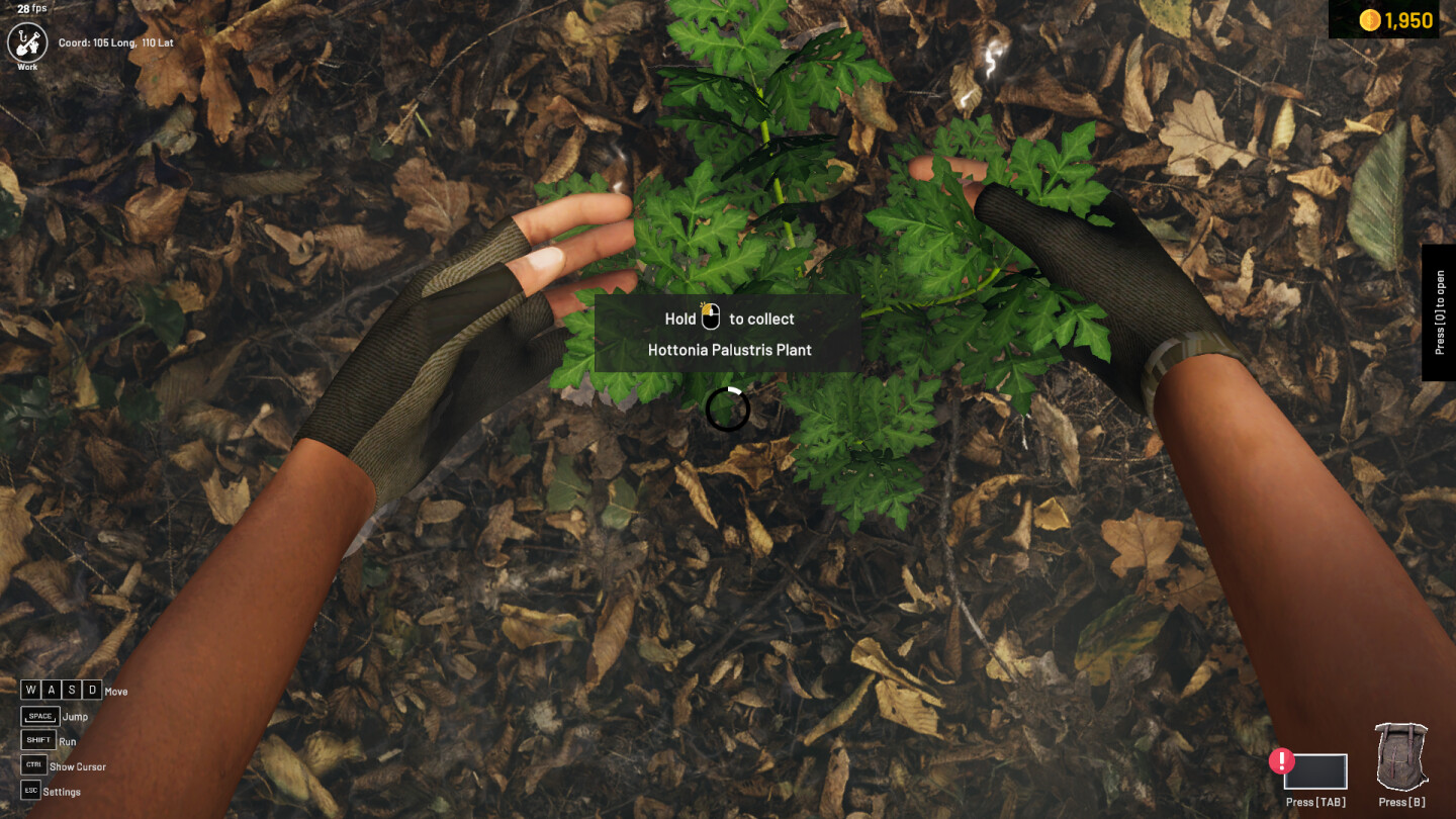 Скриншот 8: Aquascapers