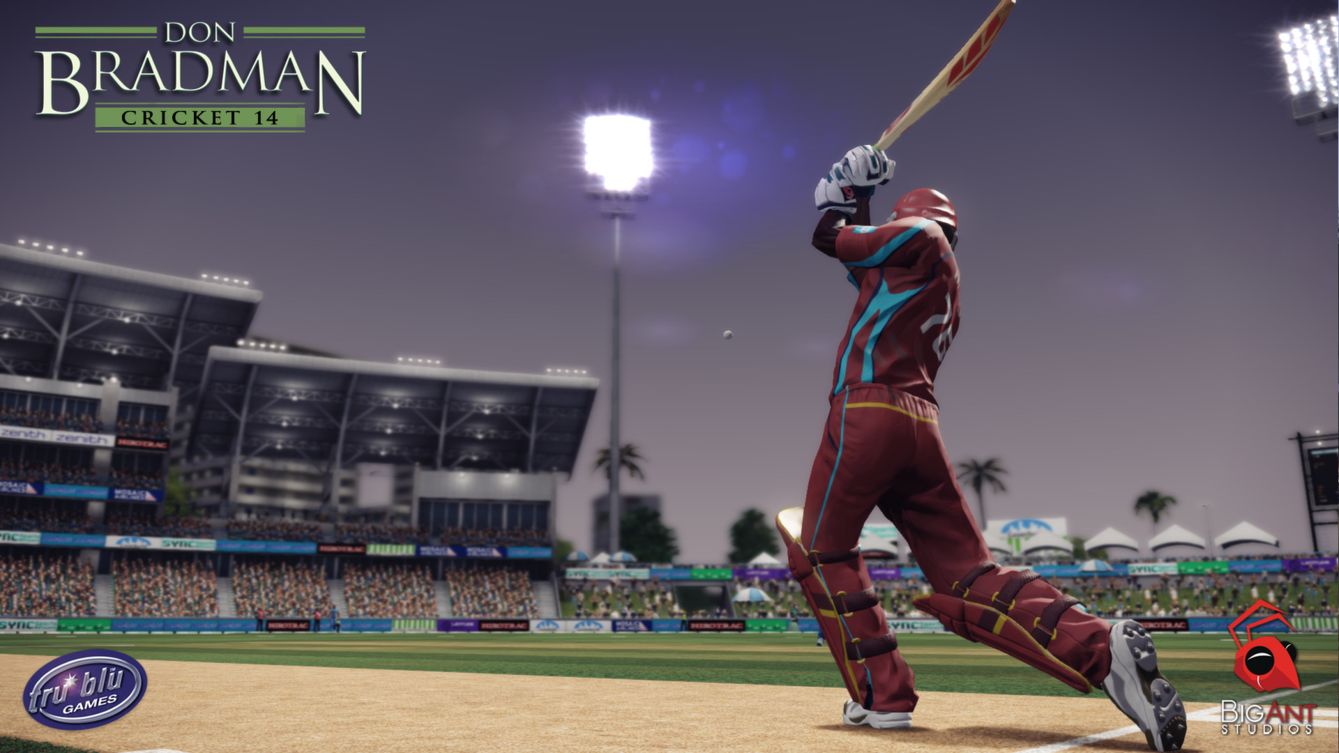 Скриншот: Don Bradman Cricket 14