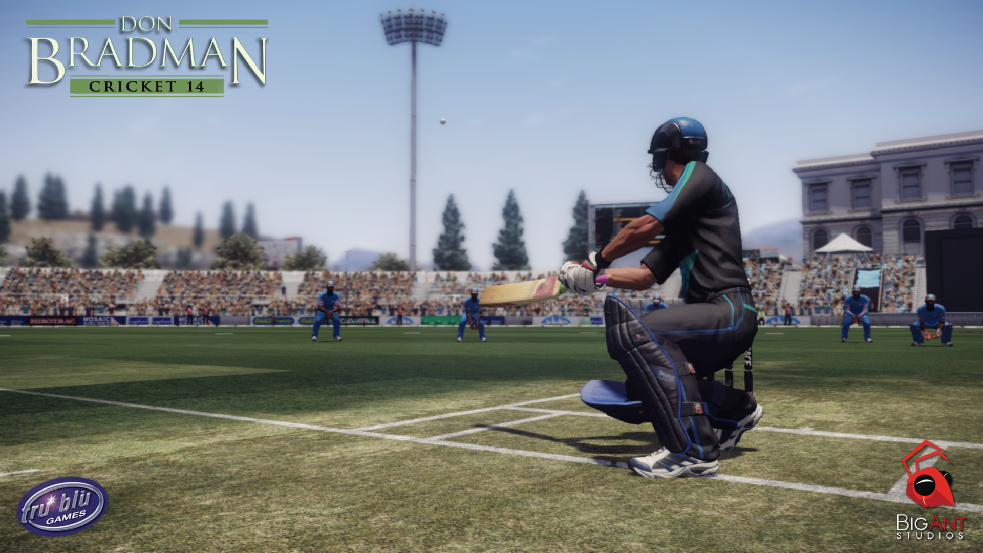 Скриншот: Don Bradman Cricket 14