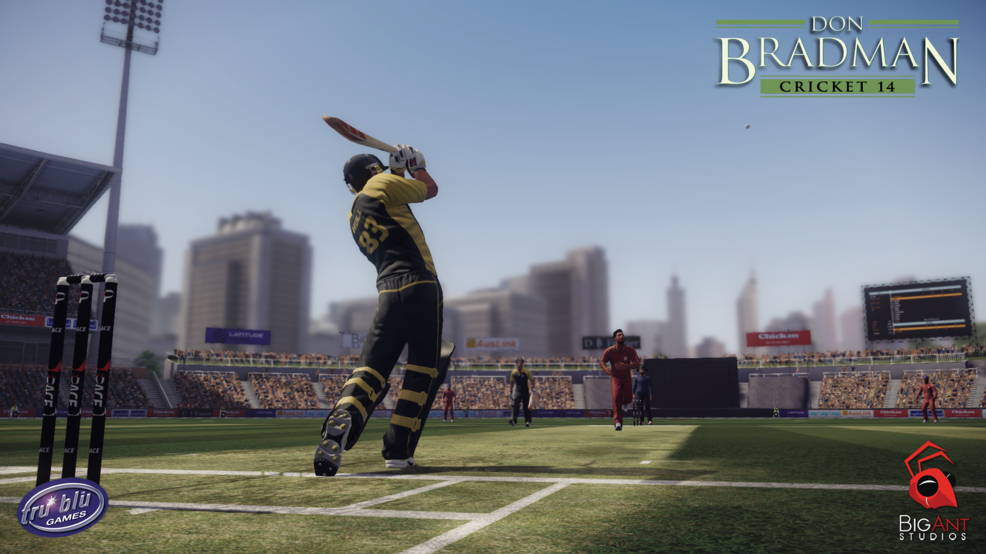 Скриншот: Don Bradman Cricket 14