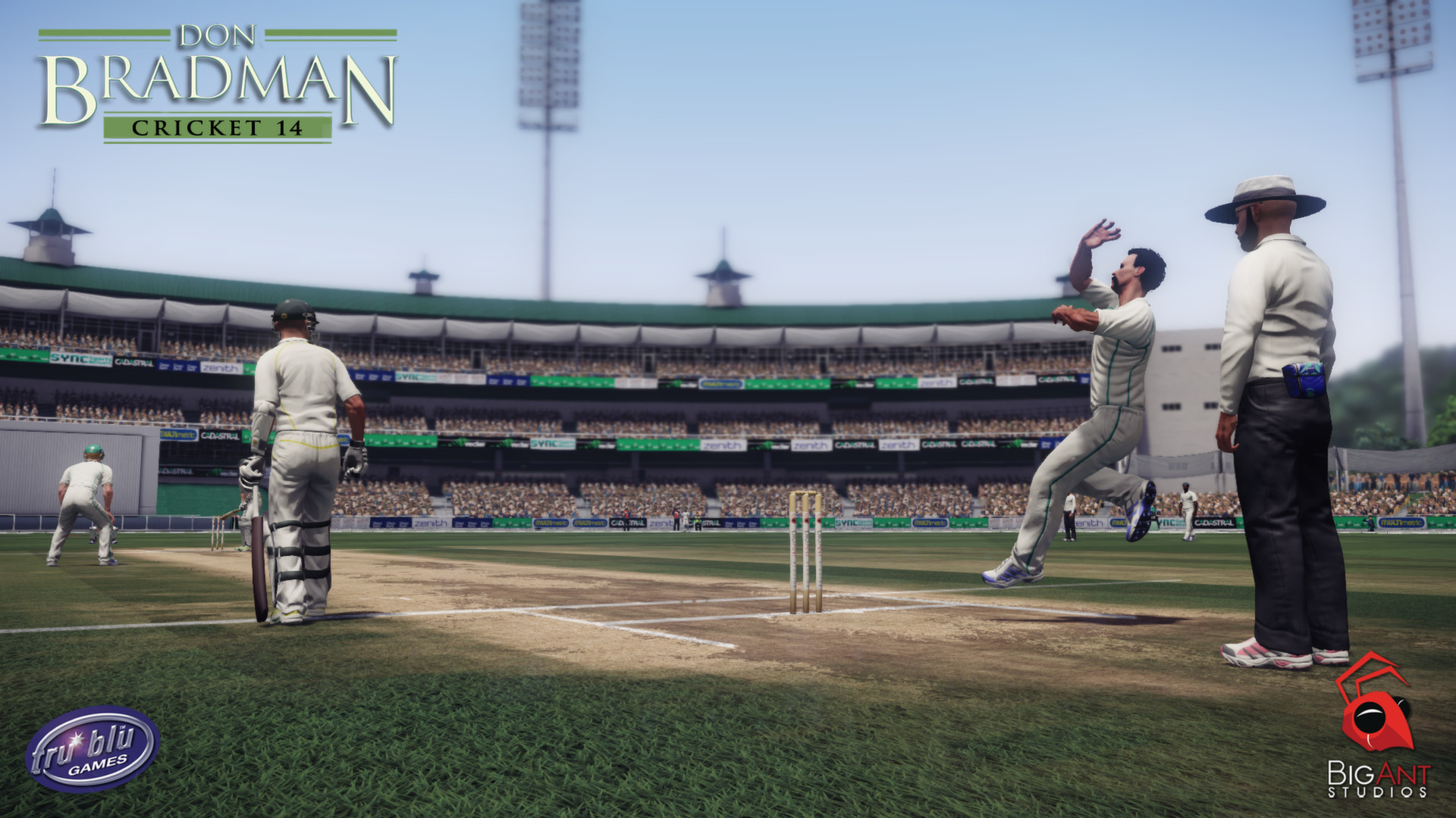 Скриншот: Don Bradman Cricket 14