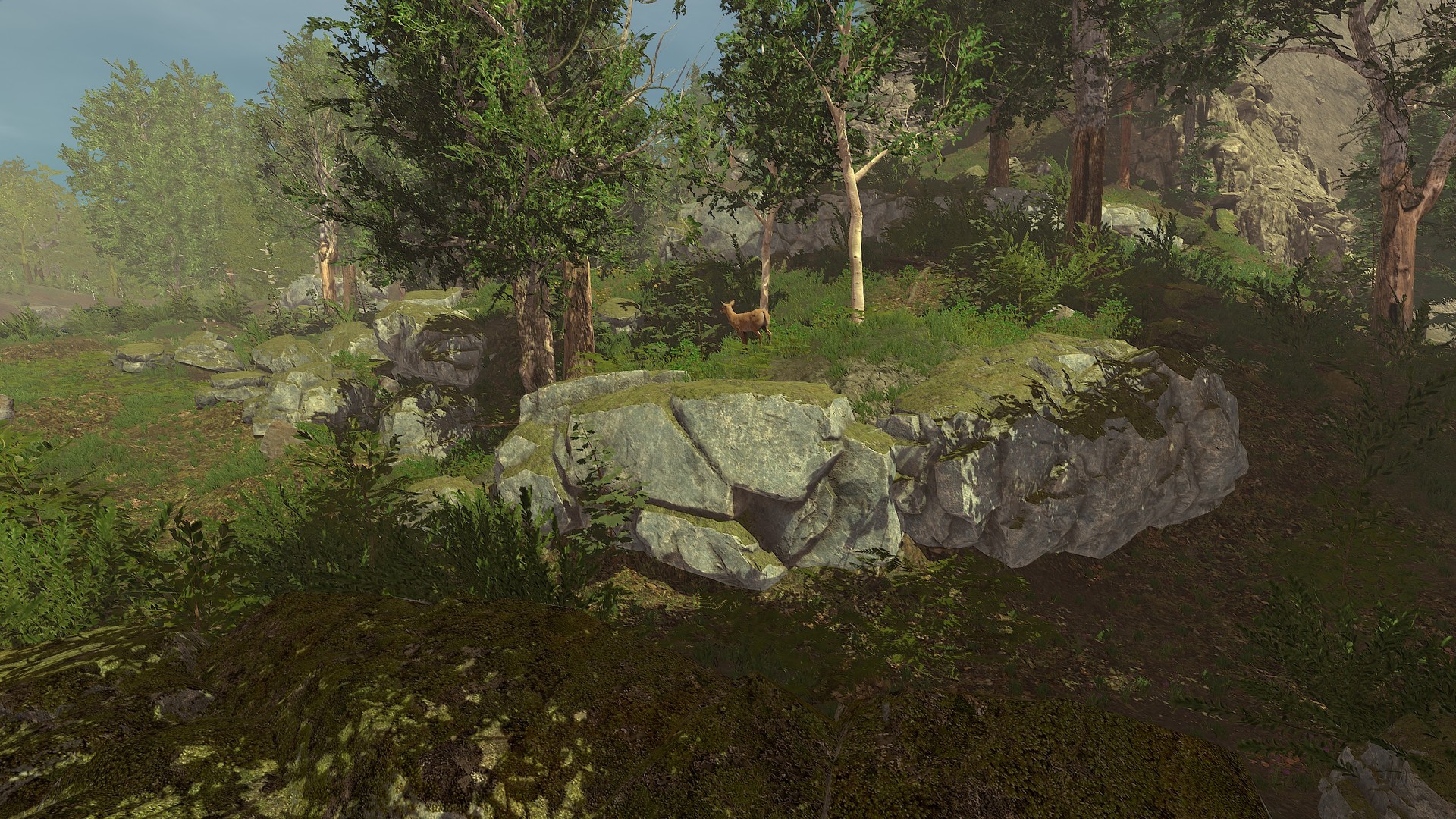 Скриншот: Trials of Wilderness