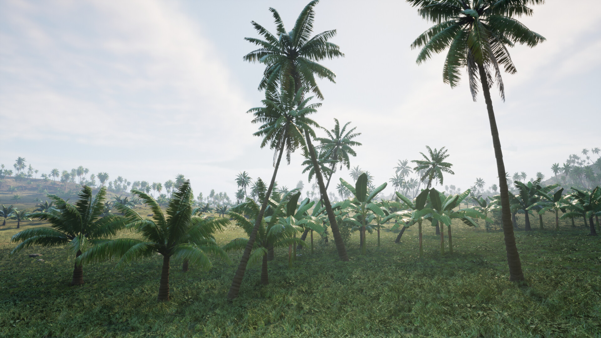 Скриншот 22: Pirates Journey