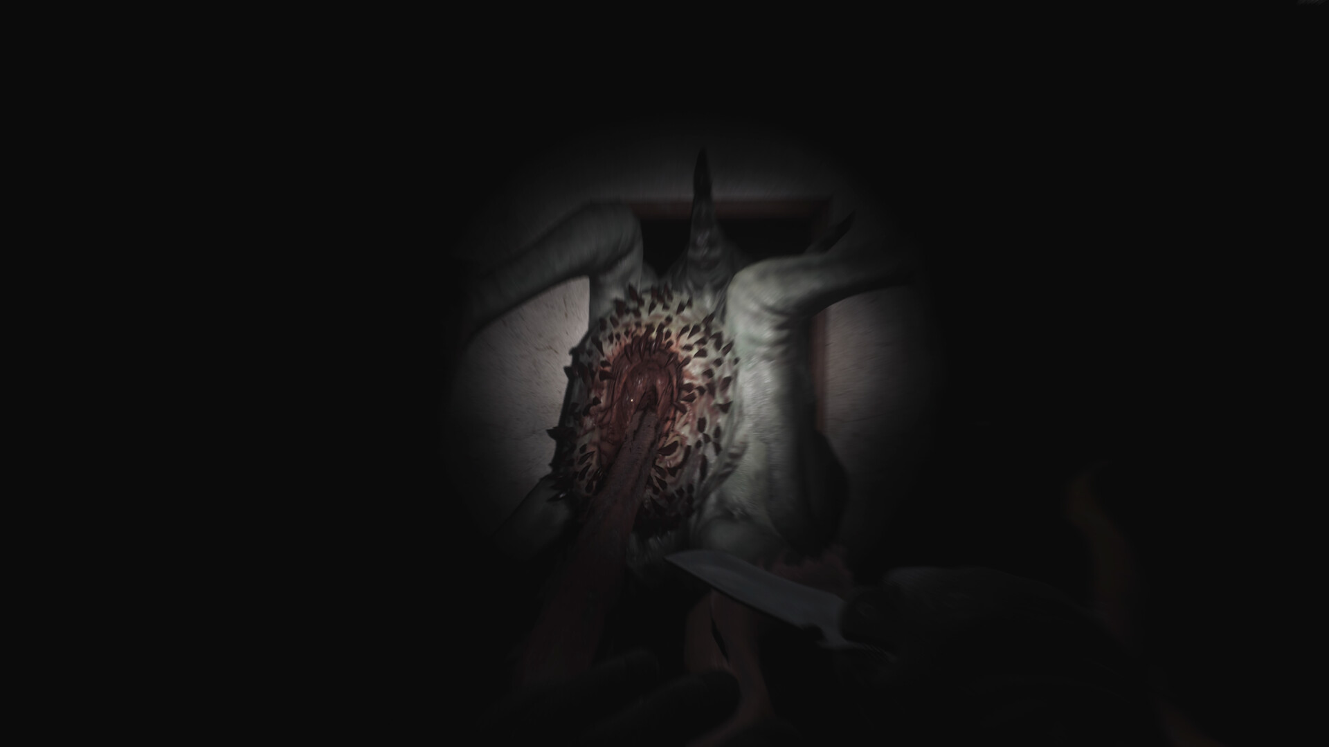 Скриншот: SCP: 5K