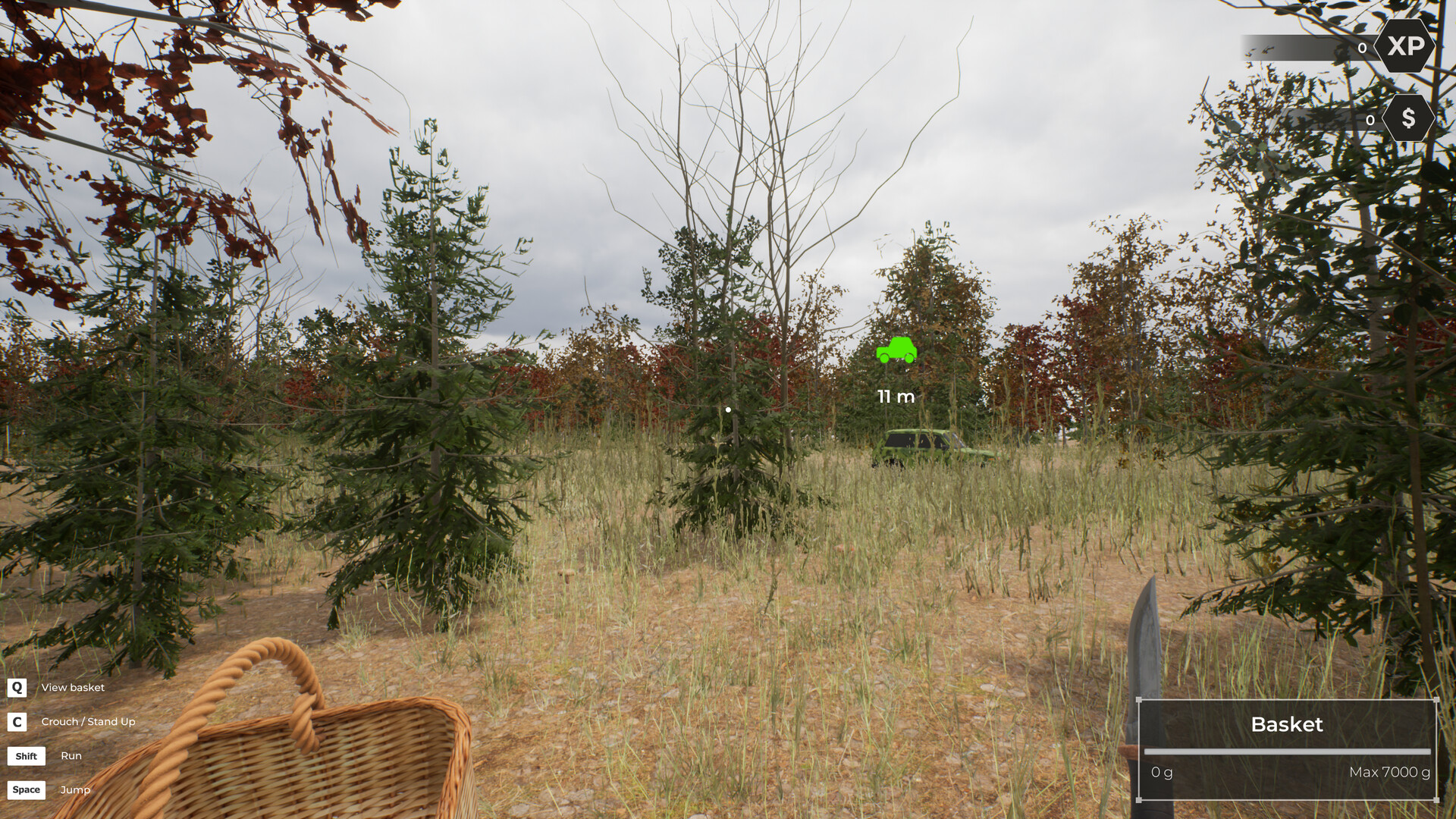 Скриншот: Mushroom Hunter World