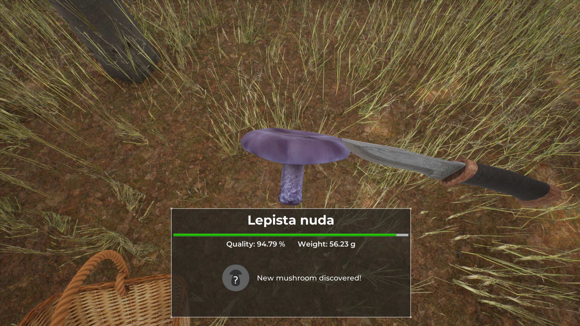 Скриншот 8: Mushroom Hunter World