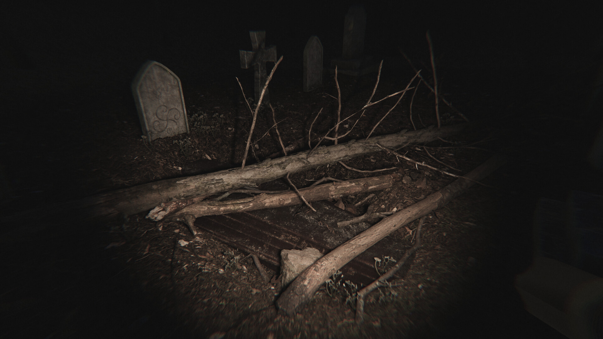 Скриншот 6: Dead Silence - Echoes of the Damned