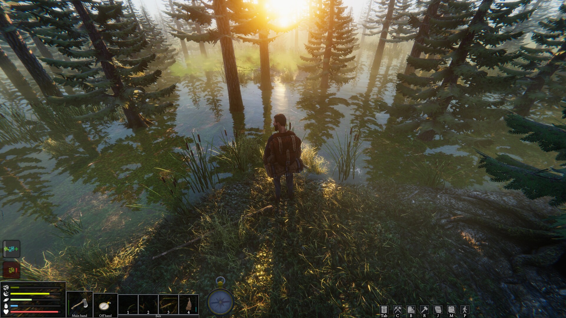 Скриншот 6: The Last Plague: Blight